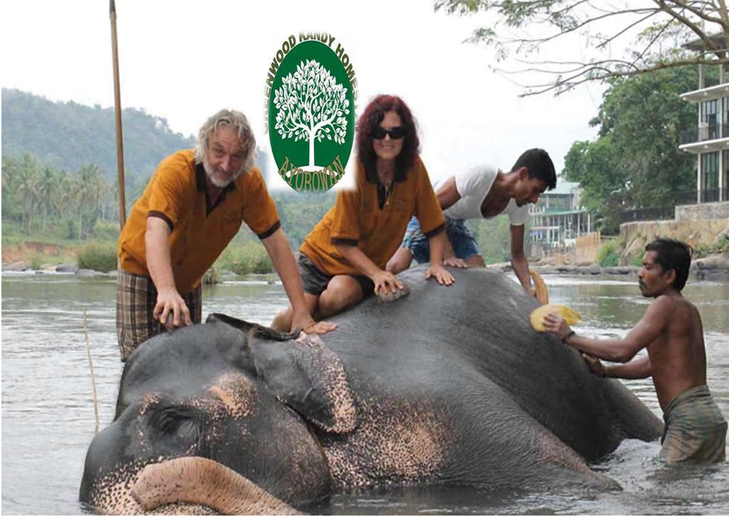 Greenwood Kandy Homestay エクステリア 写真