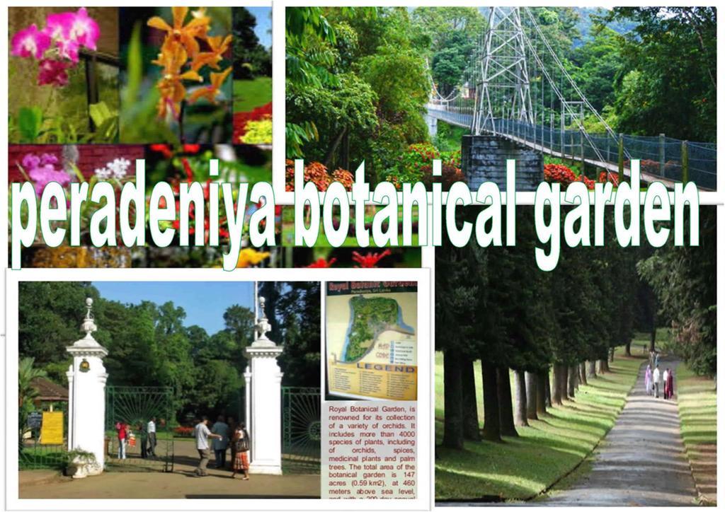Greenwood Kandy Homestay エクステリア 写真