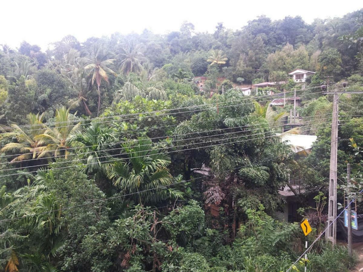 Greenwood Kandy Homestay エクステリア 写真