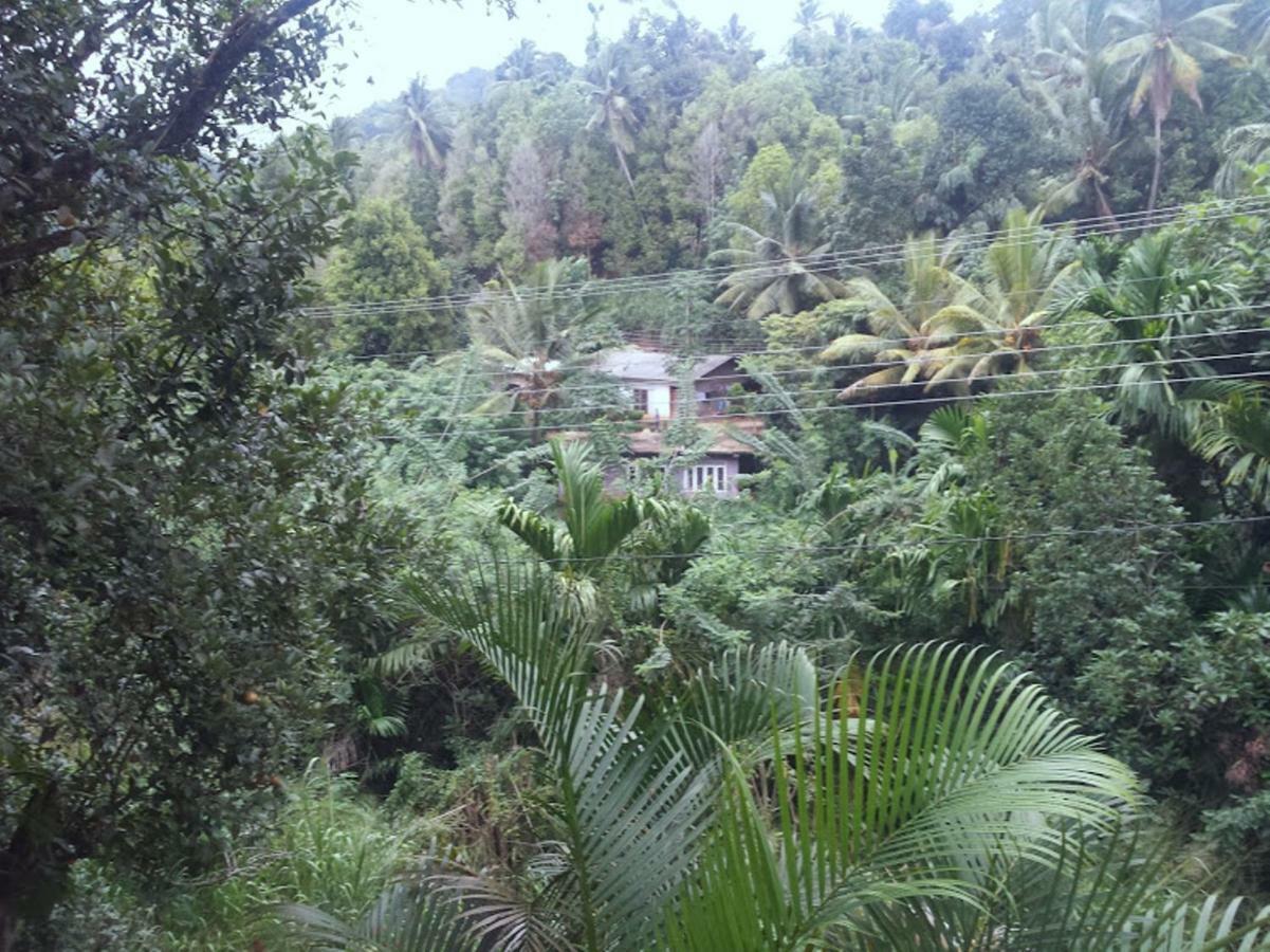 Greenwood Kandy Homestay エクステリア 写真